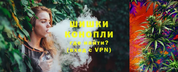 шишки Краснослободск