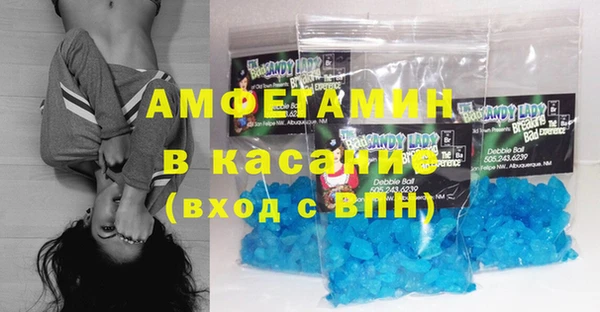 шишки Краснослободск