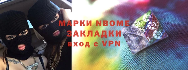 шишки Краснослободск