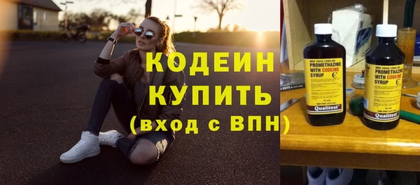 шишки Краснослободск